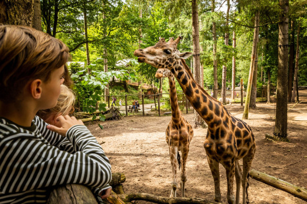 DierenPark Amersfoort